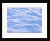 Snow by Assaf Frank